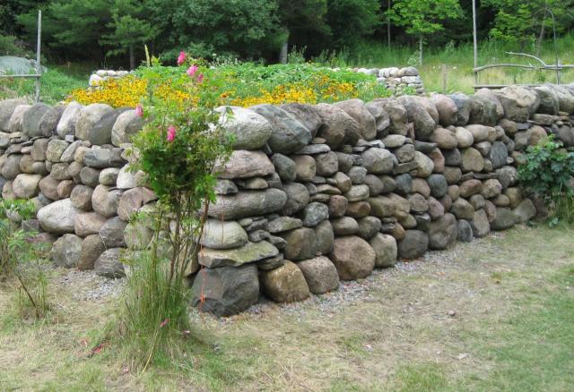 Discussion over the 'garden wall' | DSWAC